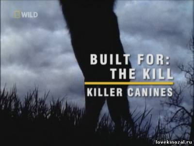 Созданные убивать: Собаки-убийцы / Built for the kill: Killer canines