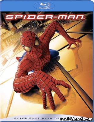 Человек-паук / Spider-Man (2002) смотреть онлайн